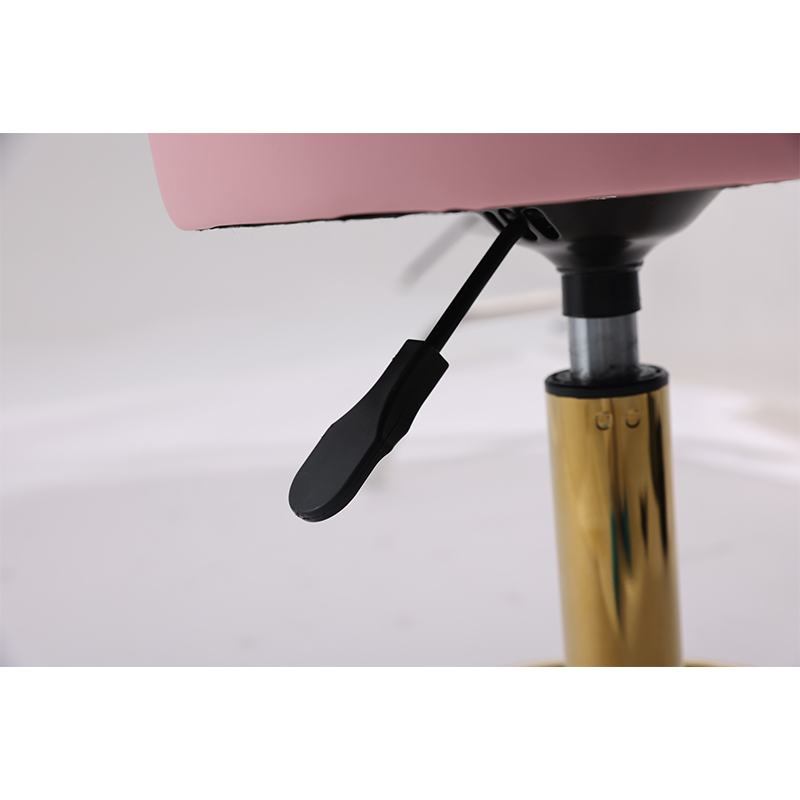Pink Gold Lightweight Technici - Office Technician 评论和价格