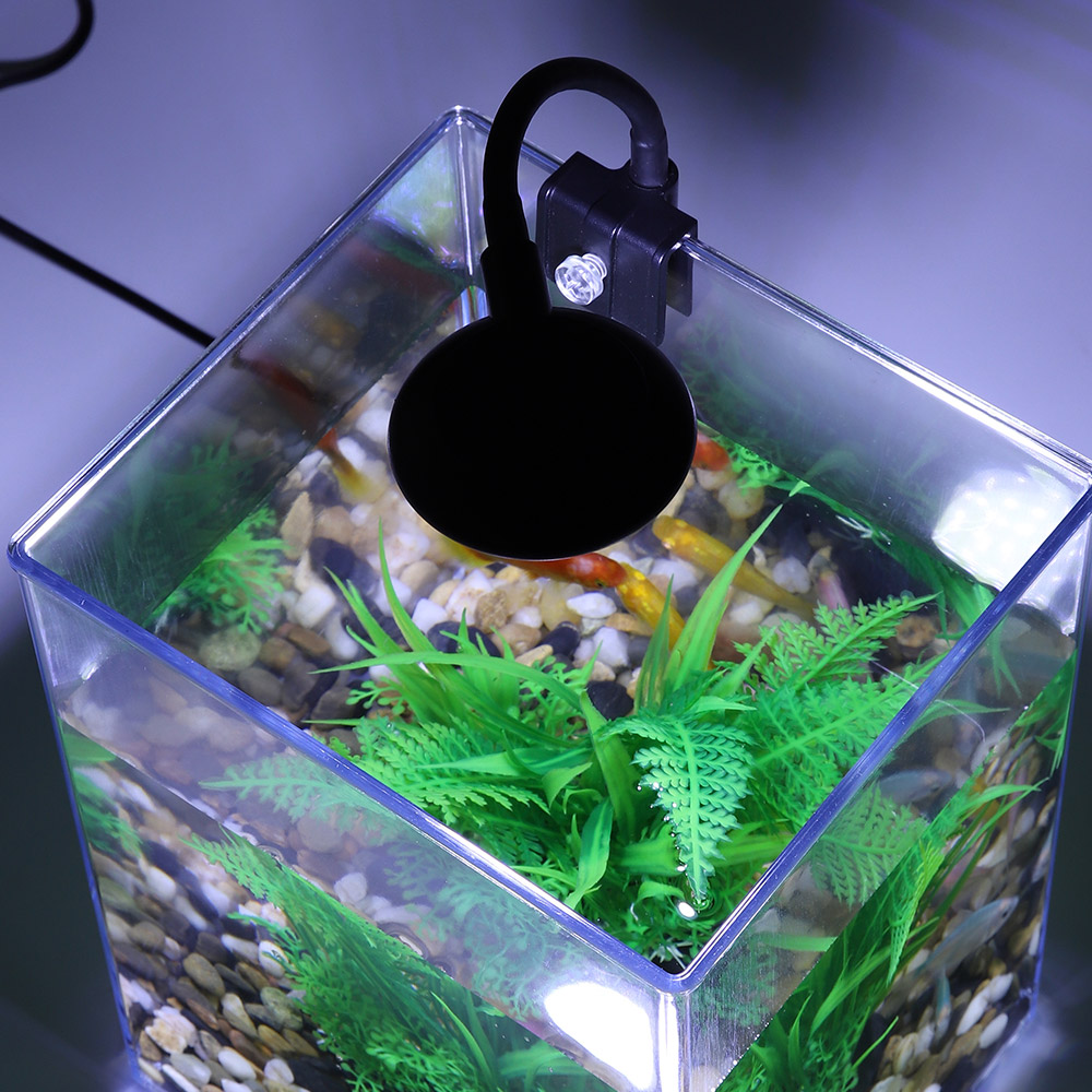 USB Desktop Fish Tank Set-Easy - Office Technician 评论和价格